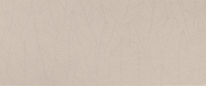 Aplomb Canvas